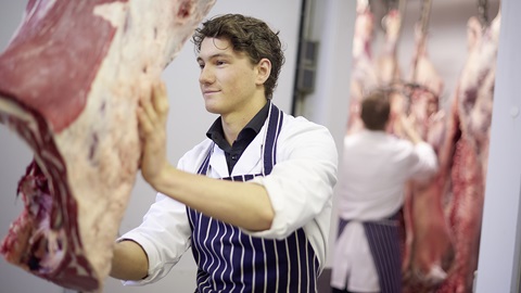 origine viande